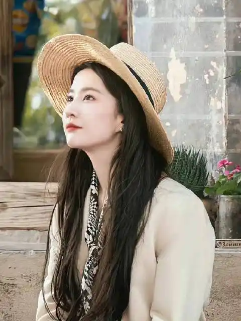 刘亦菲去有风的地方云苗村游客照