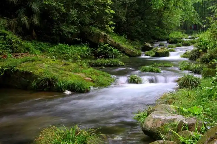 小溪边的快乐时光  小学五年级作文