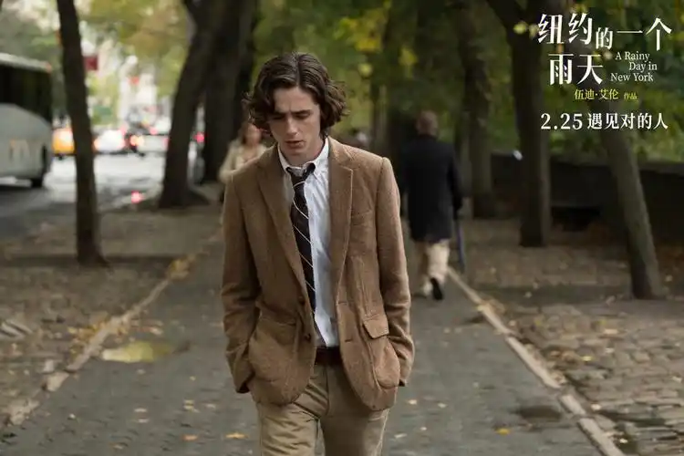 纽约的一个雨天伍迪艾伦