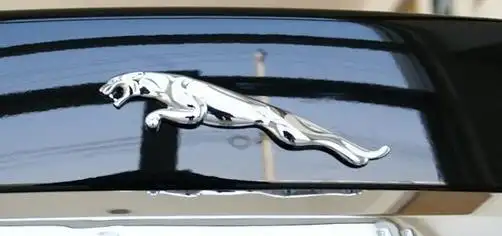 带有豹子图形的汽车是什么?