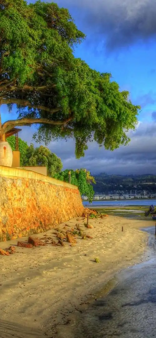 1600_3463竖版 竖屏