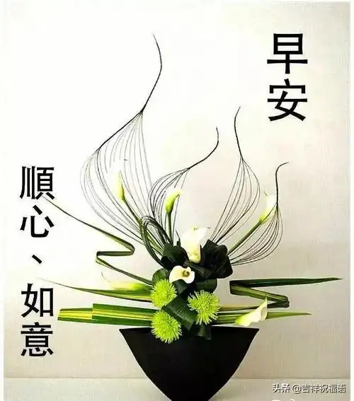 清晨美丽动态祝福语图片(最美早安问候图片带字唯美 2020最新漂亮早上