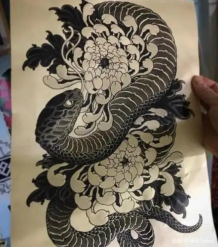 纹身纹什么?这套包小腿纹身手稿素材不要错过