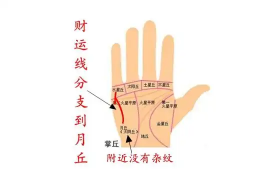 一个人的手相财运线分支延伸到月丘,清晰深明,而且附近没有其他杂纹