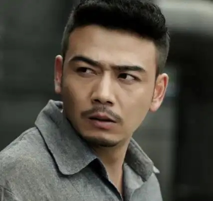 【图】杨烁演过的电视剧有哪些 揭其在剧中有怎样的表现_内地剧_电视