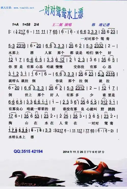 一对对鸳鸯水上漂简谱歌谱王二妮
