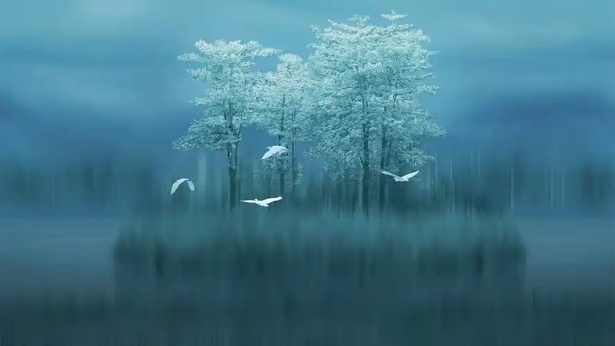 华为mate20原生壁纸