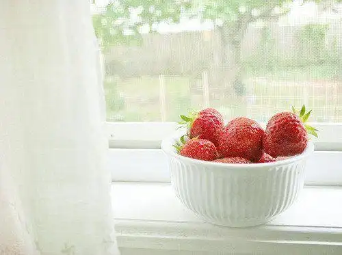 安静简单的唯美生活_唯美图片