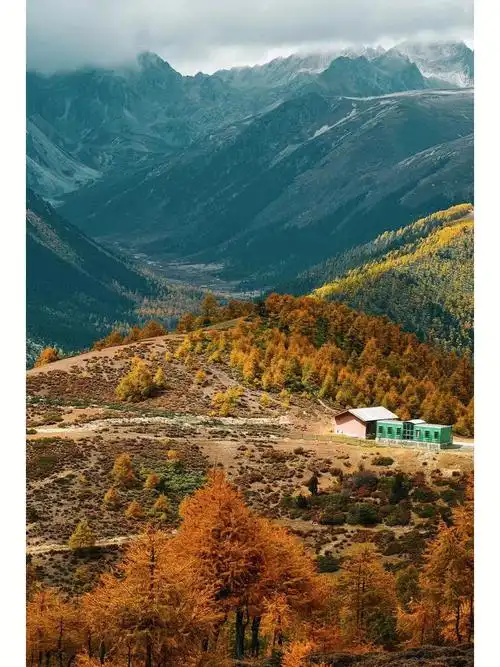 1080_1440竖版 竖屏