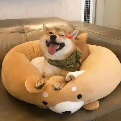 用了一辈子都不换的超萌狗狗头像