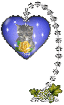 【动态*素材】很多漂亮的水晶透明图片【一】 - 蝴蝶飞飞 - 蝴蝶飞飞