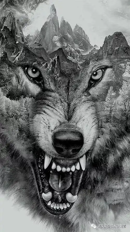 我把狼的精神视为我人生学习的榜样所以把它纹在了