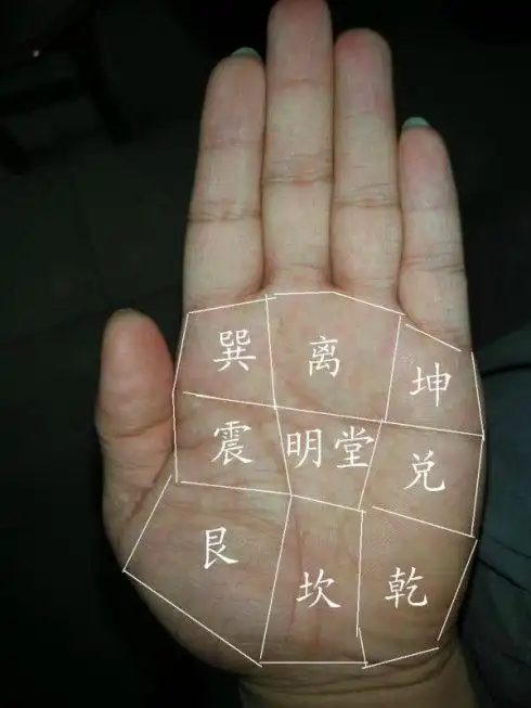 [转载]手掌八个宫位与健康