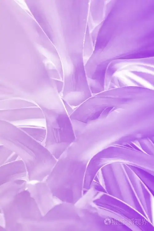 仙人掌植物以多种色调在充满活力的大胆的梯度全息颜色关闭.