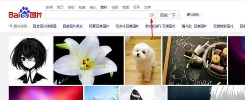 有什么以图搜图的软件么,最好是手机的,电脑的也行_百度知道