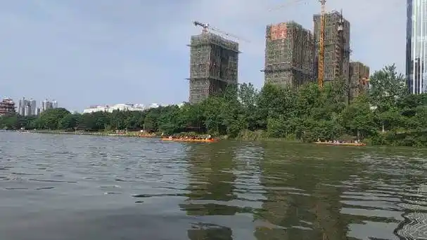 又到了棕叶飘香的季节,宜春袁州区秀江河里,人们开始划龙舟呢