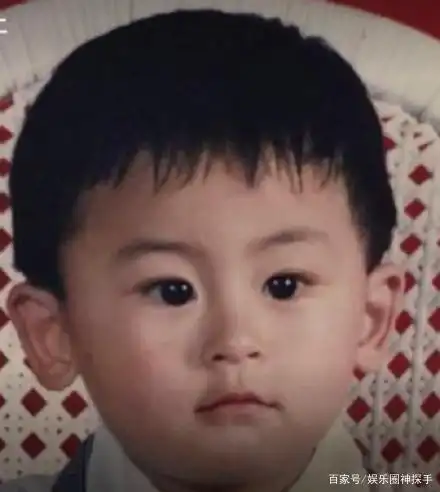 张哲瀚怀抱侄子超温柔,童年照还被指和侄子神似!