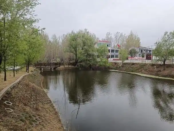 商丘市梁园区观堂镇人居环境大提升点亮生态宜居星