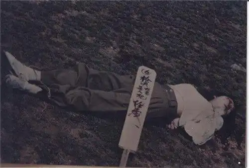 19岁女死刑犯被枪决前主动张开嘴家属疑惑唯有武警战士懂了