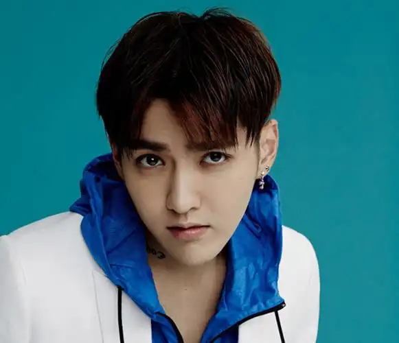 吴亦凡   吴亦凡的这款中分发型,短短的刘海刚好能遮住眉毛修饰额头