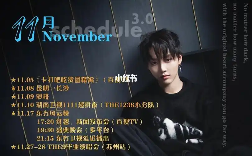 激动之余更新刘雨昕11月行程30版本