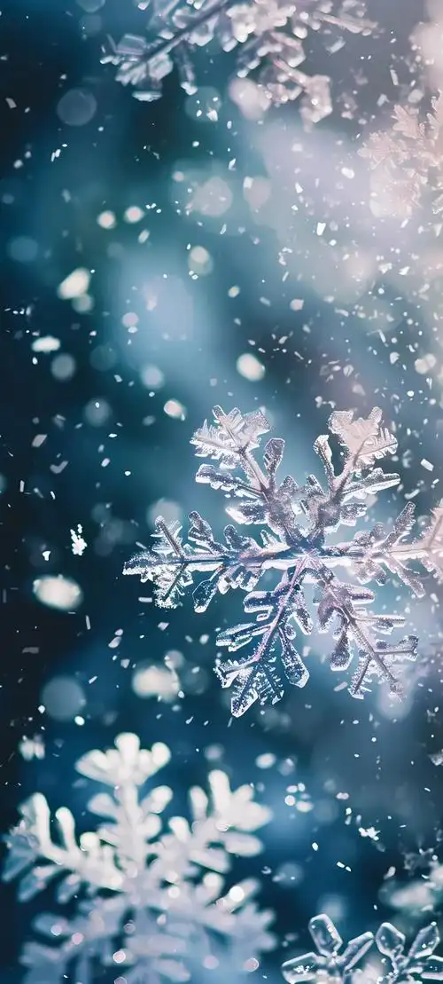 设计 矢量 矢量图 素材 1080_2395 竖版 竖屏