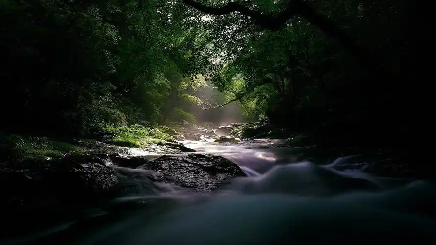 河流水流光不确定性木-风景高清壁纸 - 1920x1080 壁纸 下载