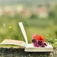 书本头像唯美图片,微信头像图片