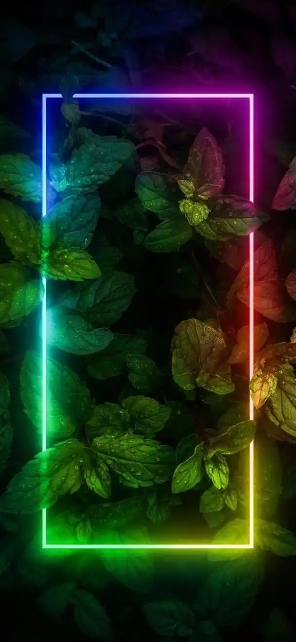 简约绿色树叶高清手机壁纸