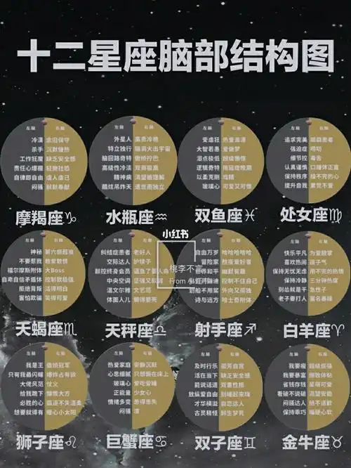 十二星座脑部结构图及思维路线准到可怕