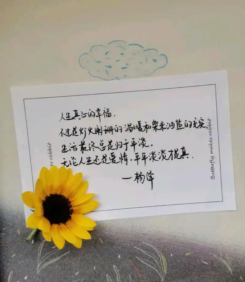 杨绛先生经典语录:  "人想开了,就会明白,在这个世界上,你就是你,你痛