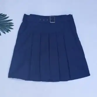 夏季春秋款石家庄二中总部南校区润德校区学生男款夏季校服 女短裙