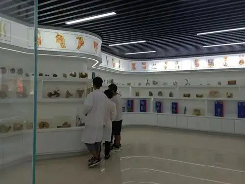 我院开展人体标本展活动-医学院