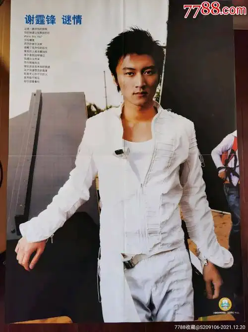 谢霆锋星期五海报