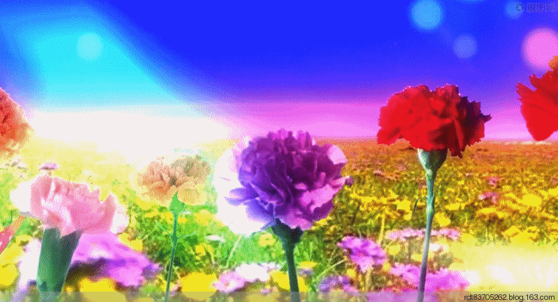 中文舞曲专辑21高胜美《 声声醉》甜歌天后 - 音乐分享 - 爱舞曲论坛