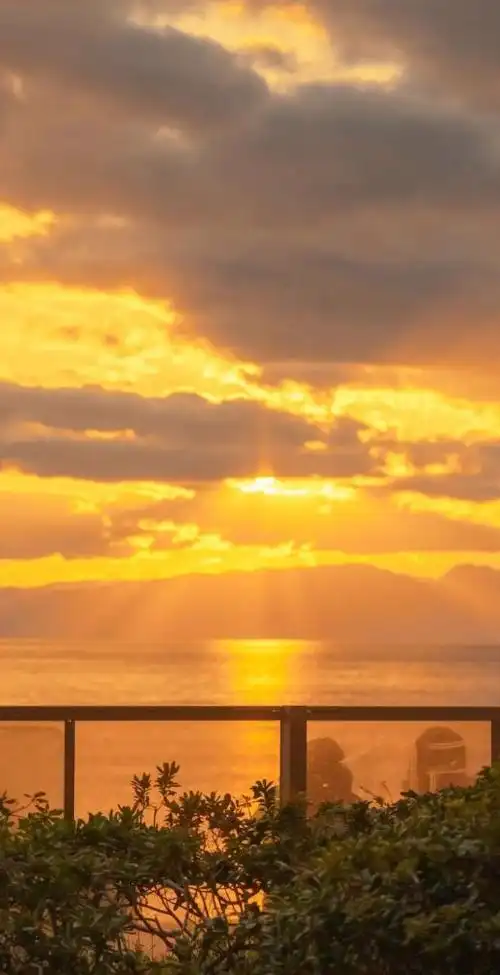 生活明朗,万物可爱,希望今年的你勇气多一些.