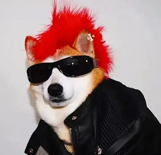 微信头像高清沙雕可爱头像大全