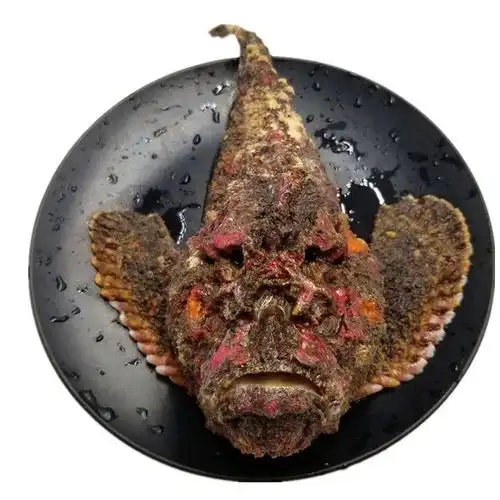 海钓石头鱼玫瑰毒鲉南沙野生海捕新鲜急冻老虎鱼海鲜