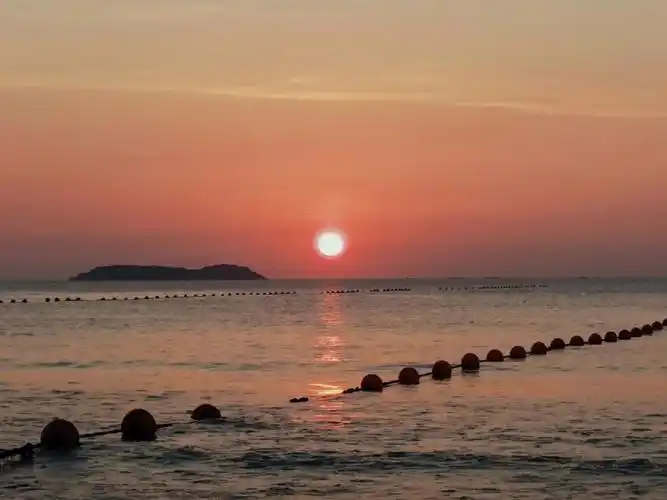 太阳在海边开出了粉色的花