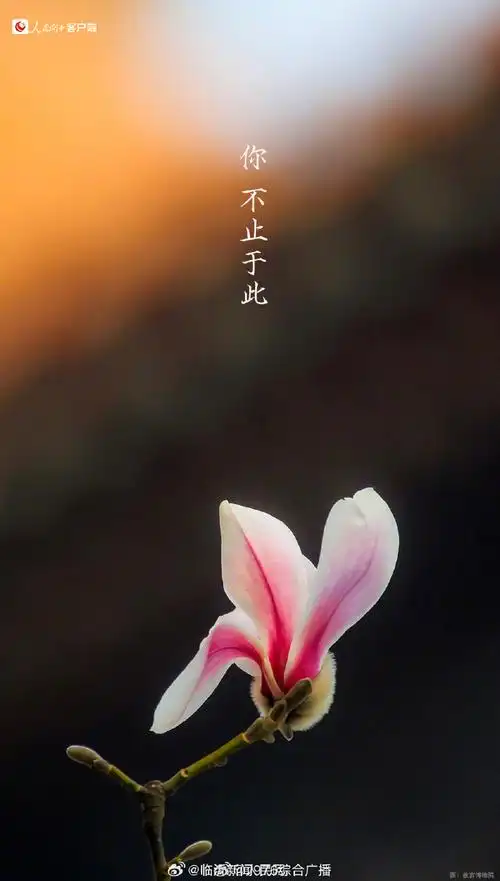 690_1216竖版 竖屏