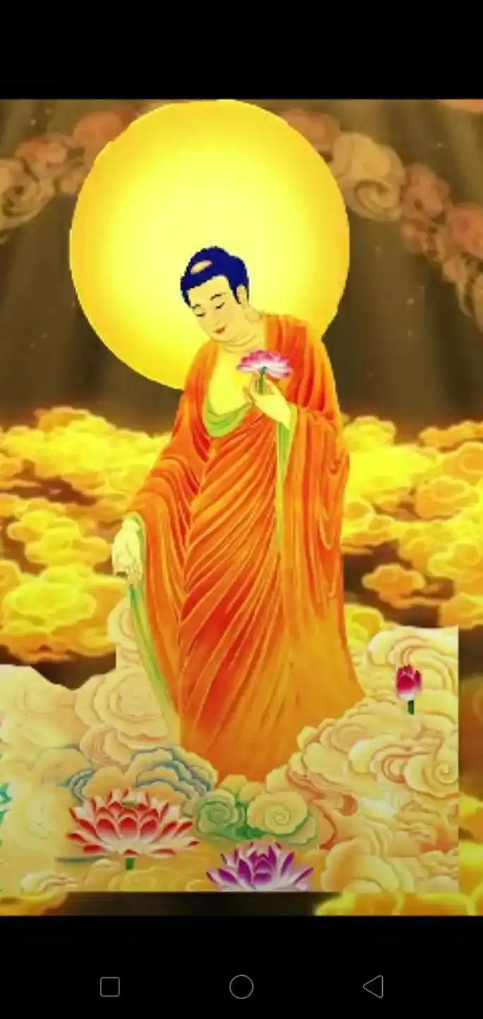 愿所有人平安健康 ! 愿生西方净土中  九品莲花为父母 花 - 抖音