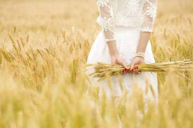 麦田人像如何拍6大技巧新手也能拍出唯美麦田人像作品