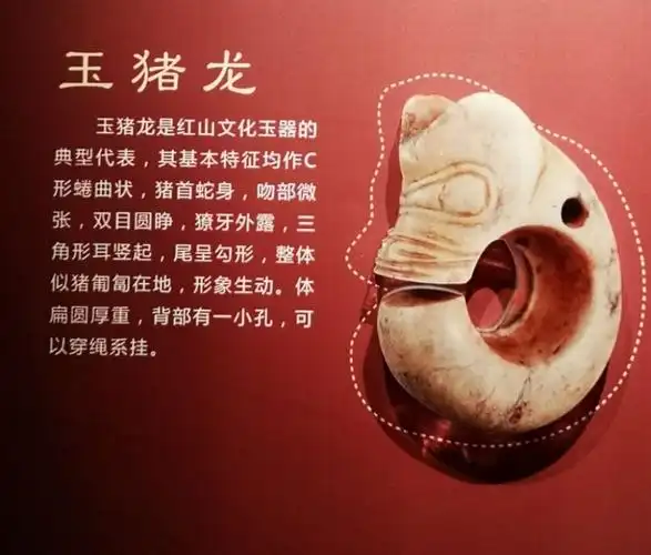 赤峰是龙文化的发祥地,在这里出土的玉猪龙和c型龙,被誉为"中华第一龙
