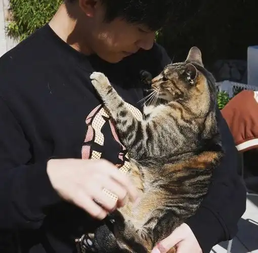 和他的猫  #人间理想易烊千玺  #一心一意易烊千玺  #易烊千玺头像