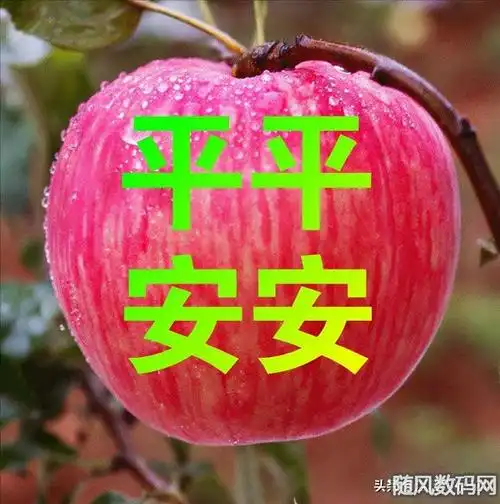 12月24日平安夜早上好动态表情图片大全,祝大家平平安安快快乐乐