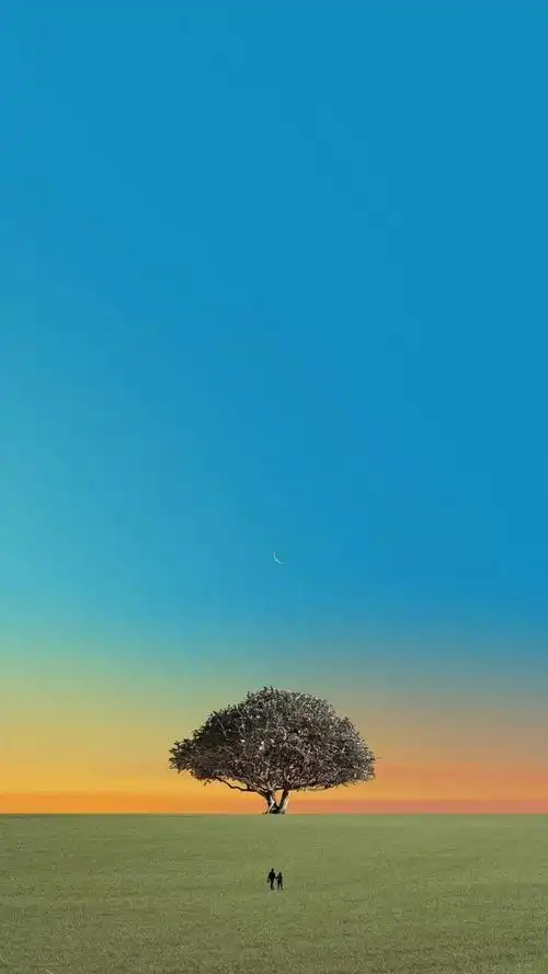 堆糖,美图壁纸兴趣社区风景#苹果6高清壁纸,iphone 6 plus高清壁纸,不