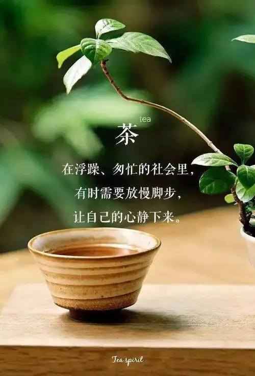 一盒精美的茶叶,送上你一份深深的祝福一杯清茶,唇齿留香,情谊绕三生