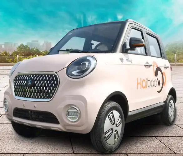 比较有品牌力的一个品牌,它专注于电动篷车,而电动篷车和电动四轮车