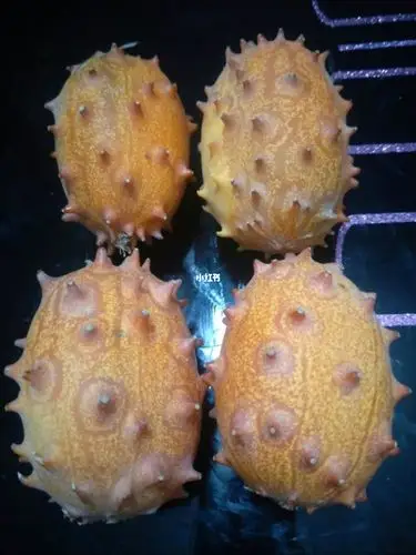 诡异的水果,里面是绿色,不会有毒吧?