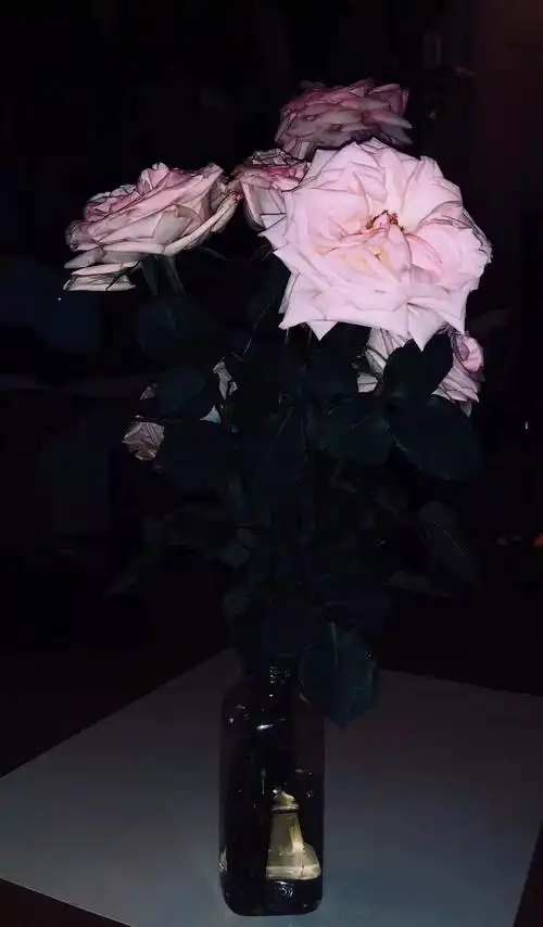 盘点那些火遍抖音的网红拍摄技巧